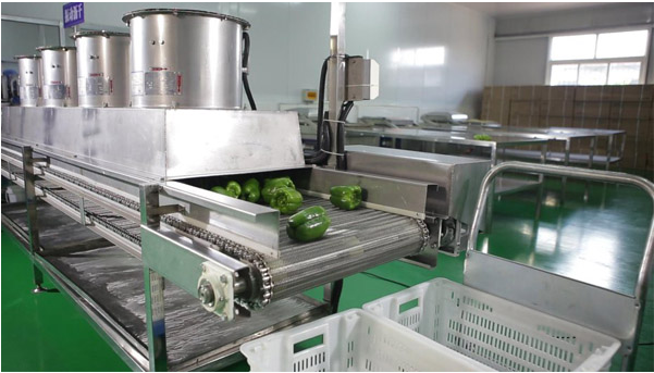 中央91免费看黄片工程图片