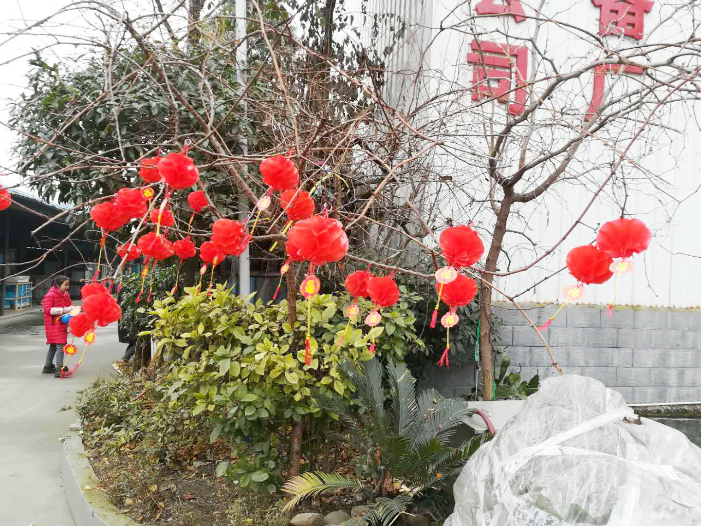 四川91免费在线视频观看91免费看黄片设备公司年会4