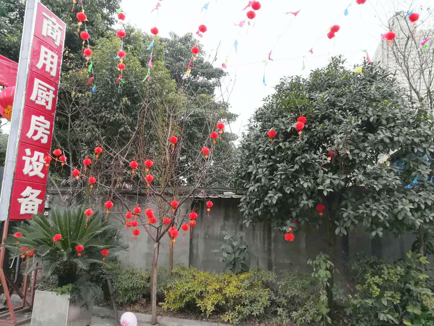 四川91免费在线视频观看91免费看黄片设备公司年会5