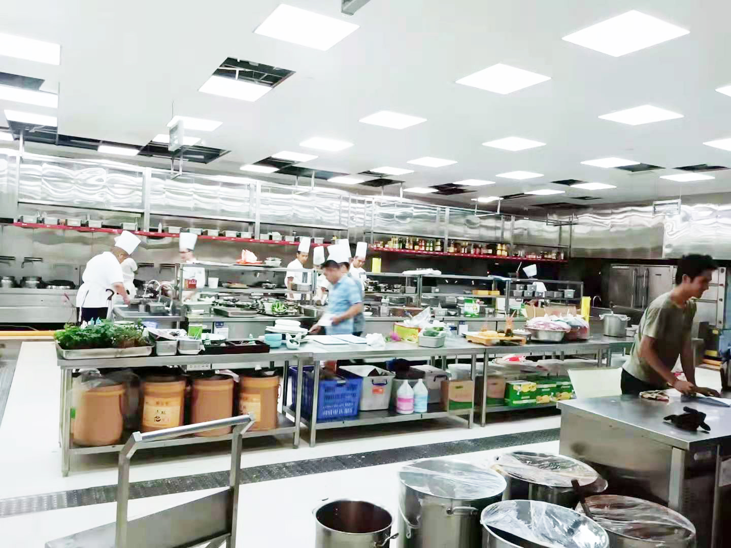 食堂91免费看黄片设备1