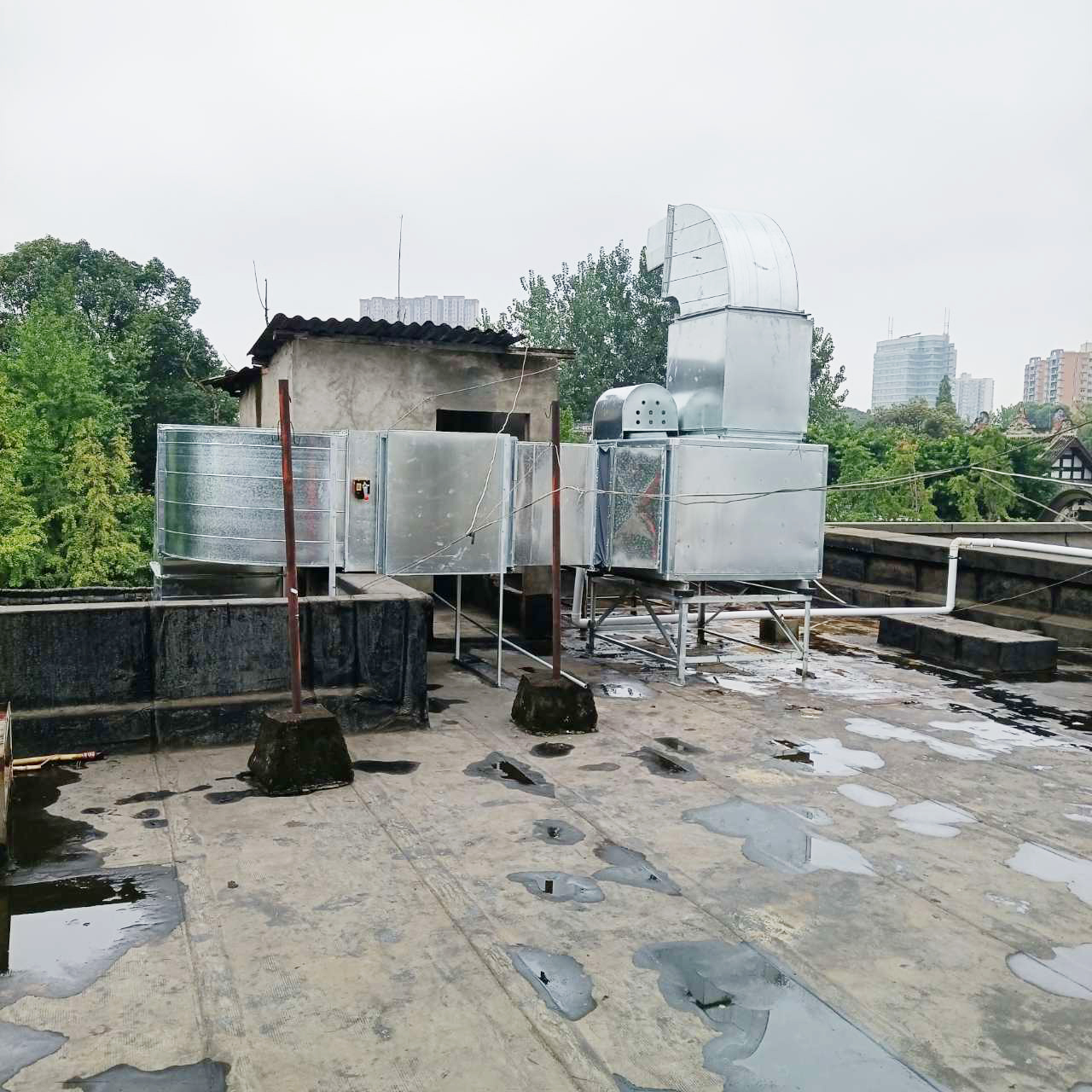 食堂91免费看黄片设备公司