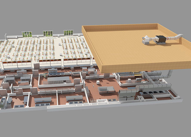 91免费看黄片抽排系统设计 91免费看黄片抽排系统设计