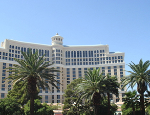 成都丽天星级酒店91免费看黄片设备采购项目